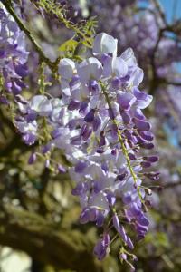 le clos sainte marie