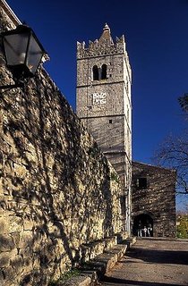 buzet