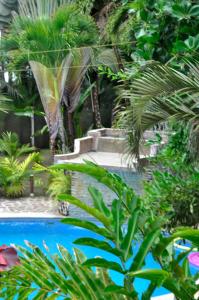 Hotel Playa Westfalia,Limon Province>>Limon,3 star