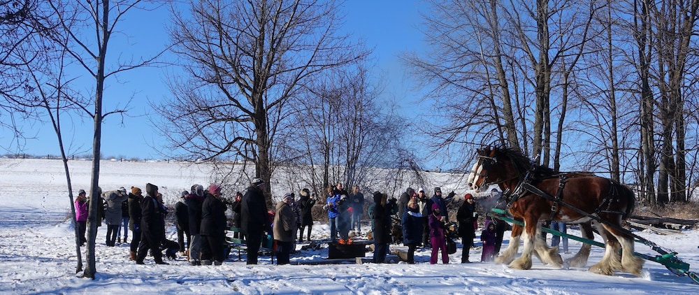 otonabee south monaghan