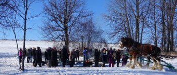 otonabee south monaghan