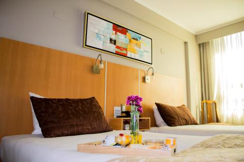 ohiggins park hotel