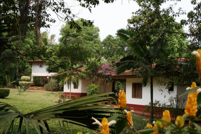 orquideas palace