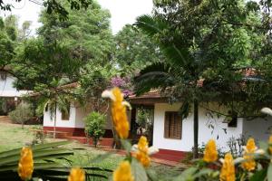 orquideas palace