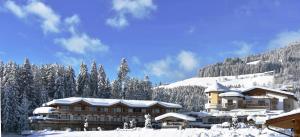 hopfgarten im brixental