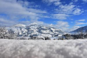 hopfgarten im brixental