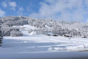 hopfgarten im brixental