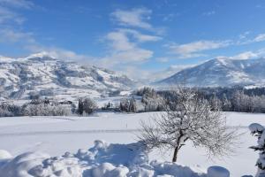 hopfgarten im brixental