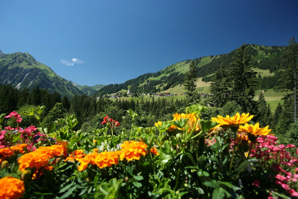 ifa alpenhof wildental hotel kleinwalsertal adults only