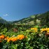 ifa alpenhof wildental hotel kleinwalsertal adults only