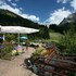 ifa alpenhof wildental hotel kleinwalsertal adults only