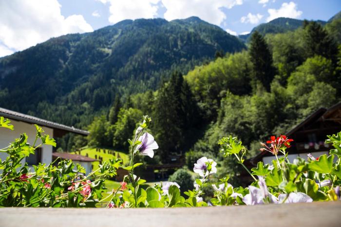 seehuter s hotel seerose