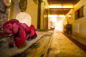 seehuter s hotel seerose