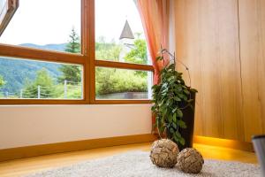 seehuter s hotel seerose
