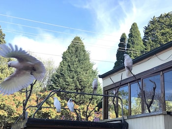 clarendon motel and guesthouse