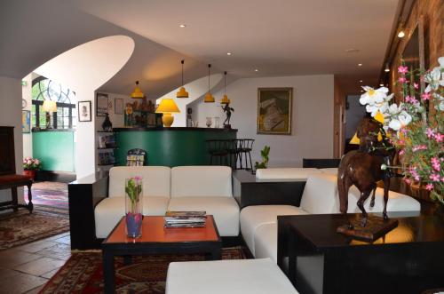 hotel des mimosas