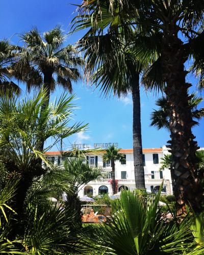 hotel des mimosas