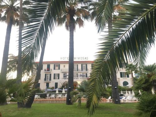 hotel des mimosas