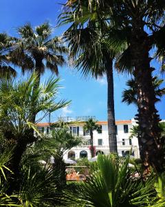 hotel des mimosas