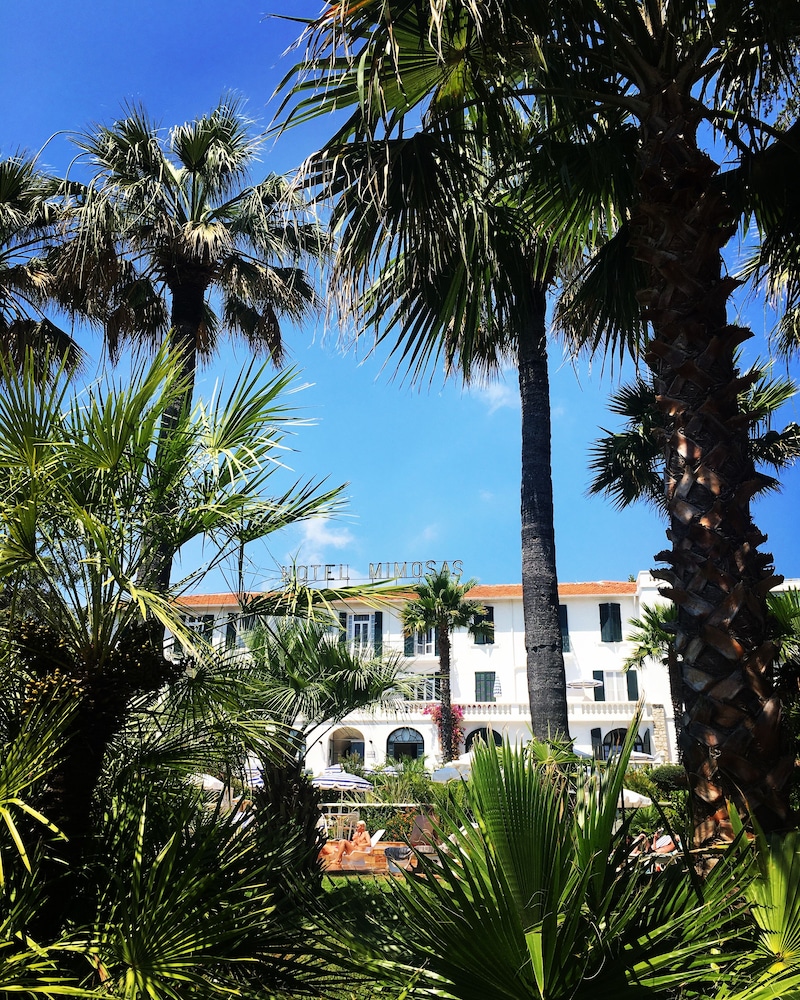 hotel des mimosas