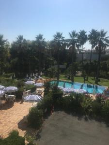 hotel des mimosas