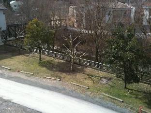 hotel cotori
