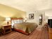 suite dreams hotel