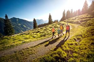alpenparks hotel and apartment sonnleiten