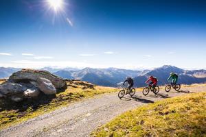 alpenparks hotel and apartment sonnleiten
