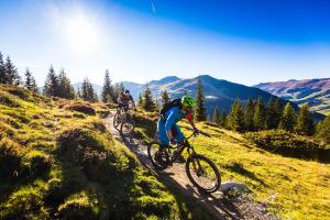 alpenparks hotel and apartment sonnleiten