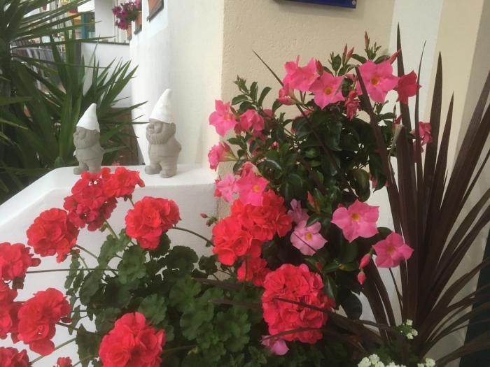 boutique house happyellow