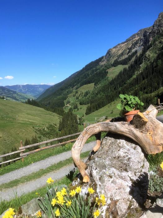 boutique house happyellow