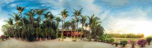 Laguna Del Cocodrilo,Playa Langosta>>Guanacaste,3 star