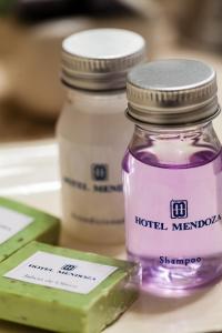 hotel mendoza