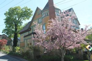 the queen a victorian bed and breakfast