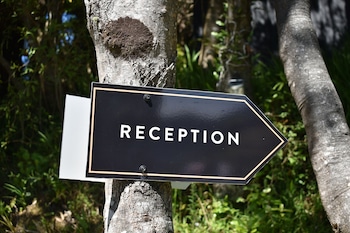 punga cove resort
