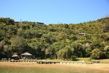 punga cove resort