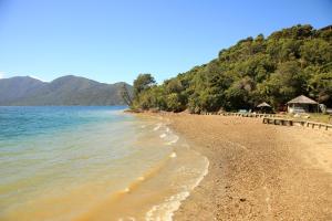 punga cove resort
