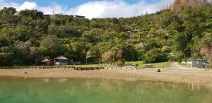 punga cove resort
