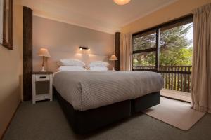punga cove resort