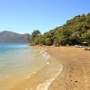 punga cove resort