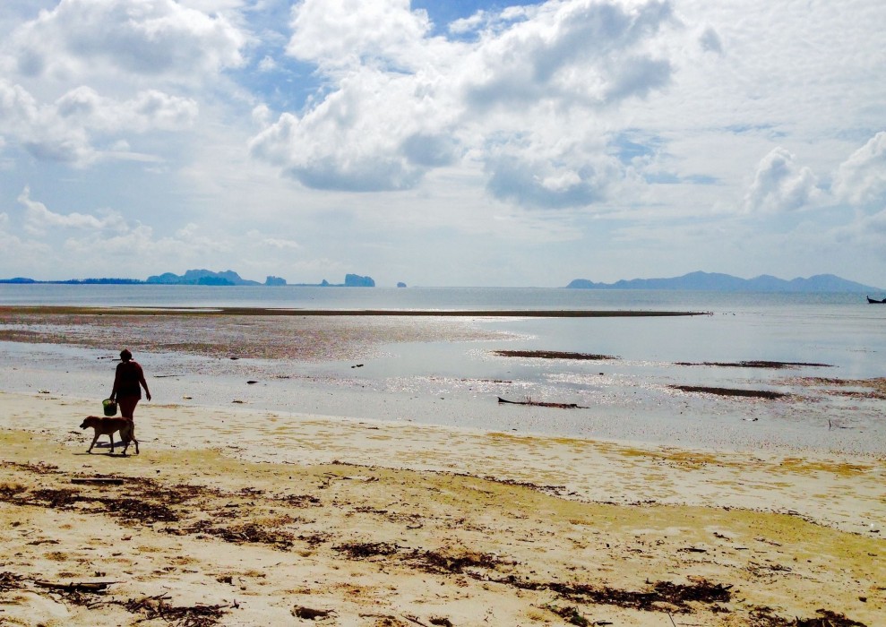 Koh Mook Riviera Beach Resort,Ko Mook>>Kantang,3 star