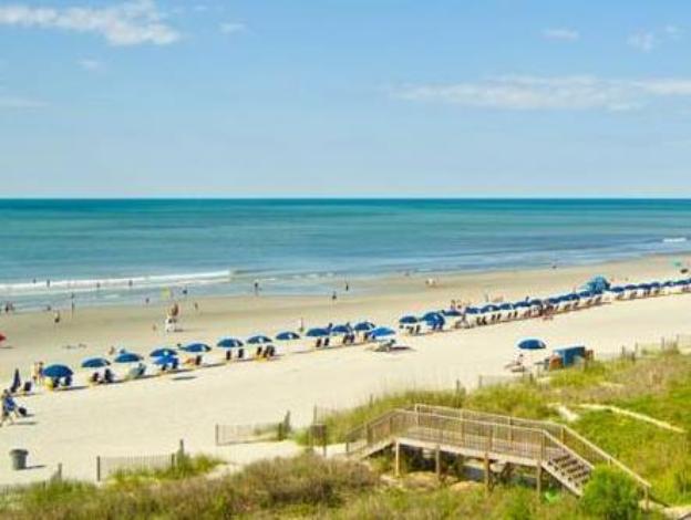 peppertree by the sea