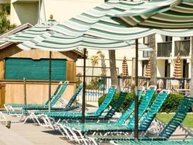 peppertree by the sea