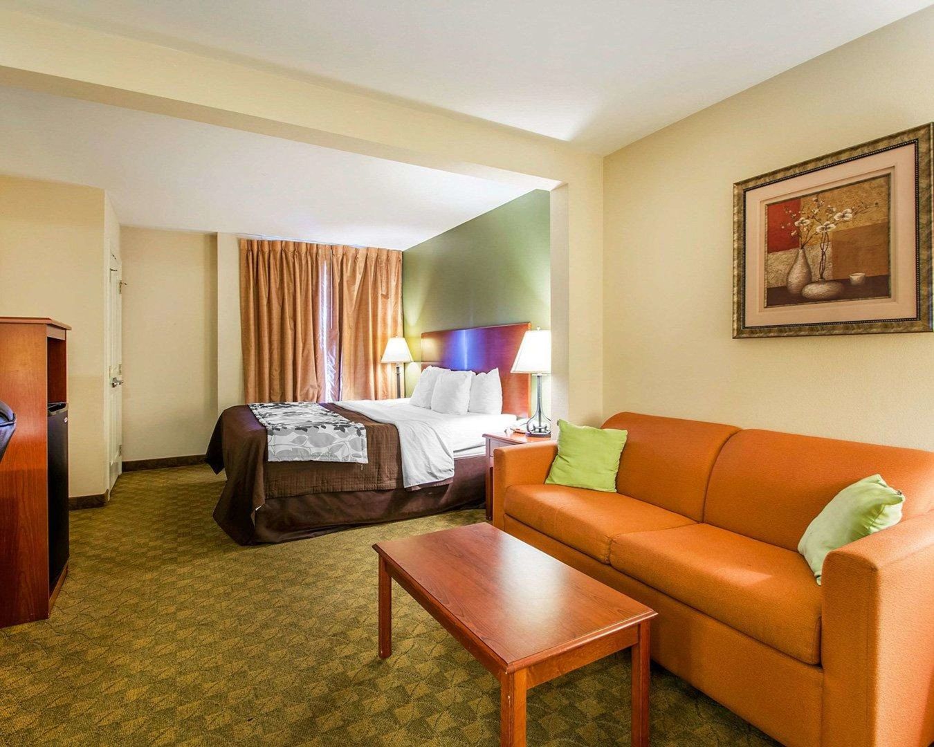 sleep inn and suites jacksonville west