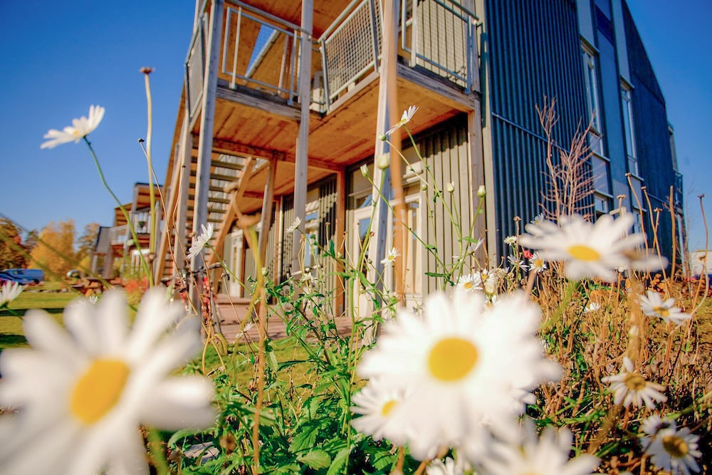 vikingskipet hamar hostel and apartments