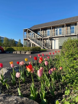 vikingskipet hamar hostel and apartments