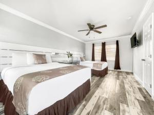 hollywood beach hotels