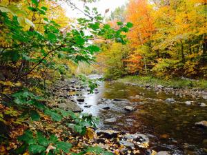gorham