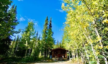 denali national park